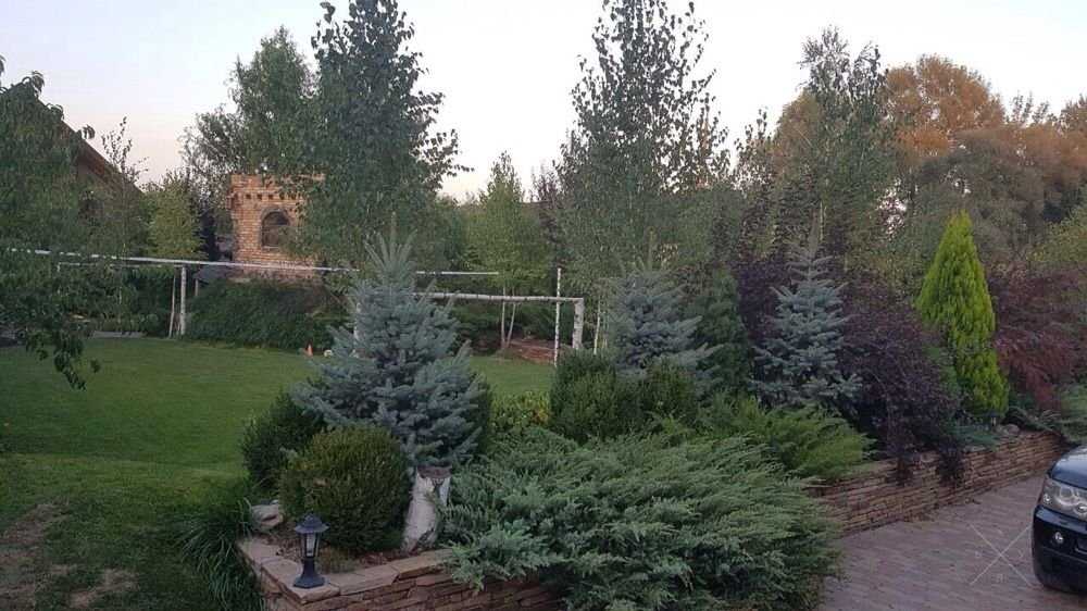 Дом посуточно с баней, бассейном, купель с тёплой водой на берегу реки