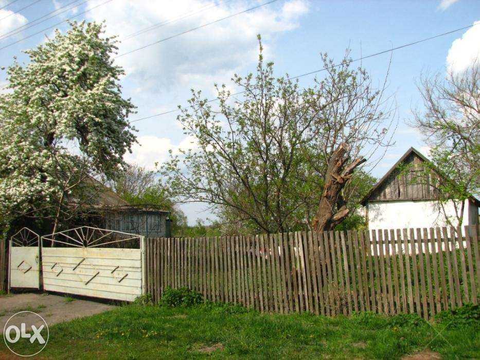 Дом, хату в селе с участком