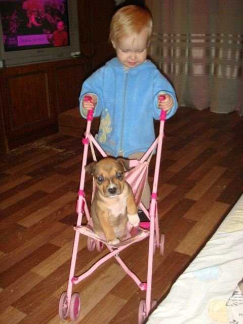 Стафф