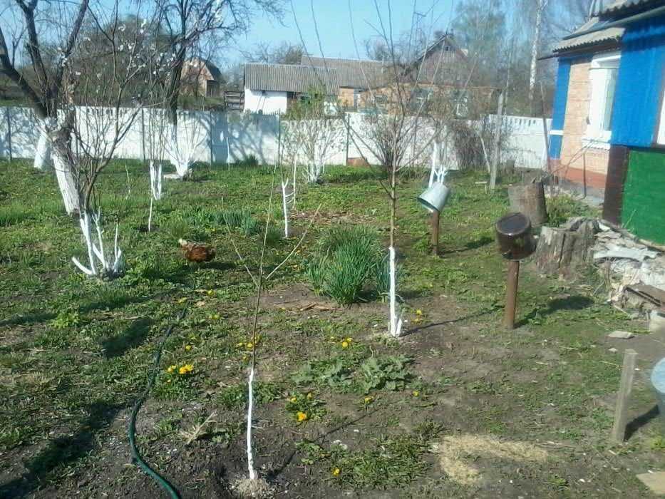 Дом в селе из солнечными панелями