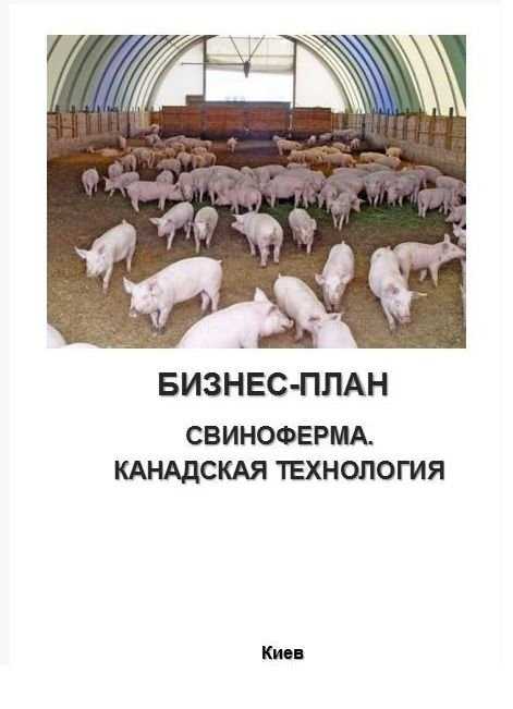 Бизнес-план, ТЭО. Свиноферма. Голландская, канадская технологии.
