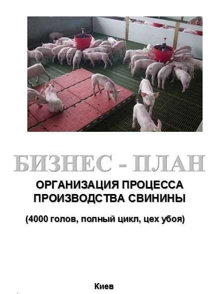 Бизнес-план, ТЭО. Свиноферма. Голландская, канадская технологии.