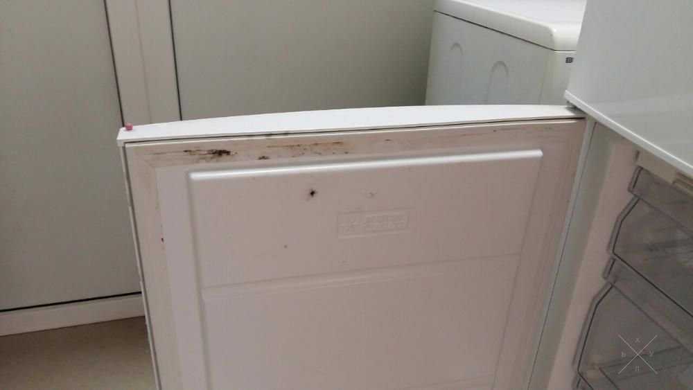 Современный холодильник ELECTROLUX EN 3241 AOW