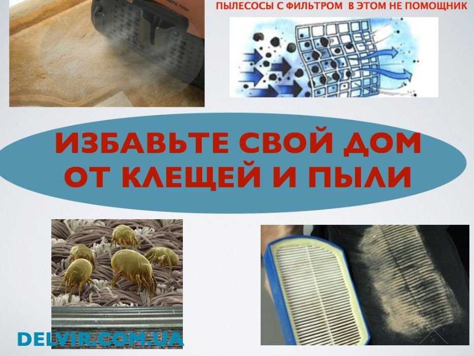 Пылесос pro-aqua или hyla пылесос сравнить с Нome