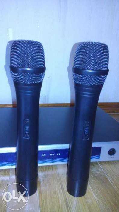 Радиосистема Soundking EW 202 H