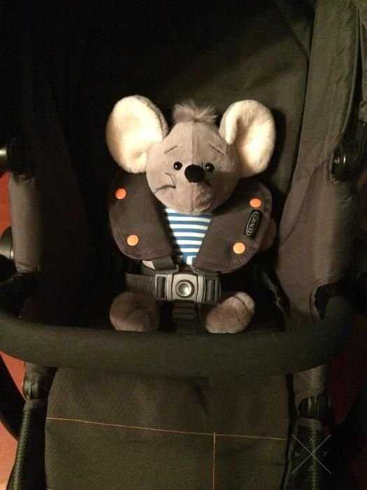 Коляска Graco Evo XT Storm