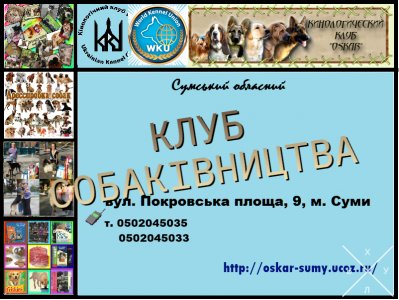 Запрошуємо в клуб собаківництва
